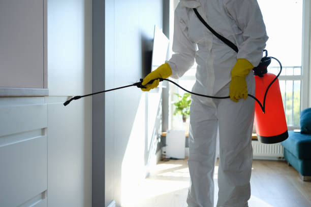 Best Post-Remediation Services in Fowlerville, MI